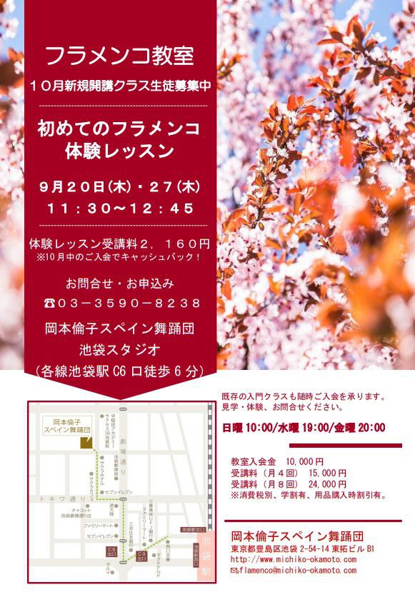 フラメンコ体験レッスン開催中！